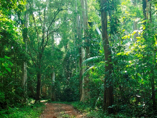 Dong Nai tourism targets USD235 million revenue by 2020